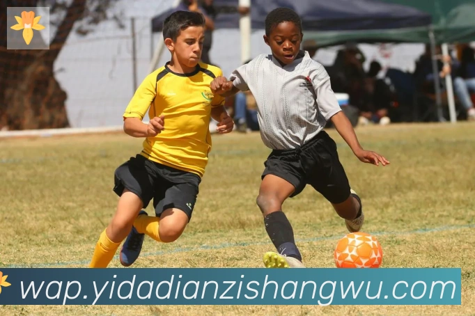 博亚app官网登录入口品牌故事