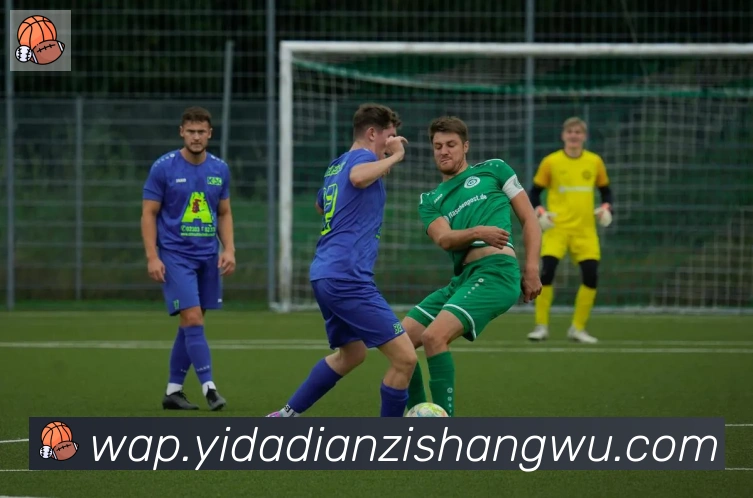 博亚app官网登录入口服务体系