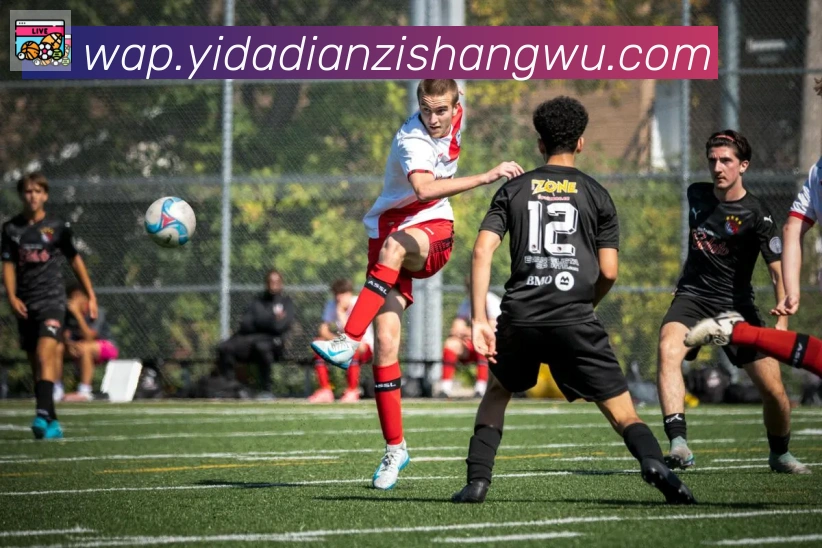 博亚app官网登录入口APP 封面图