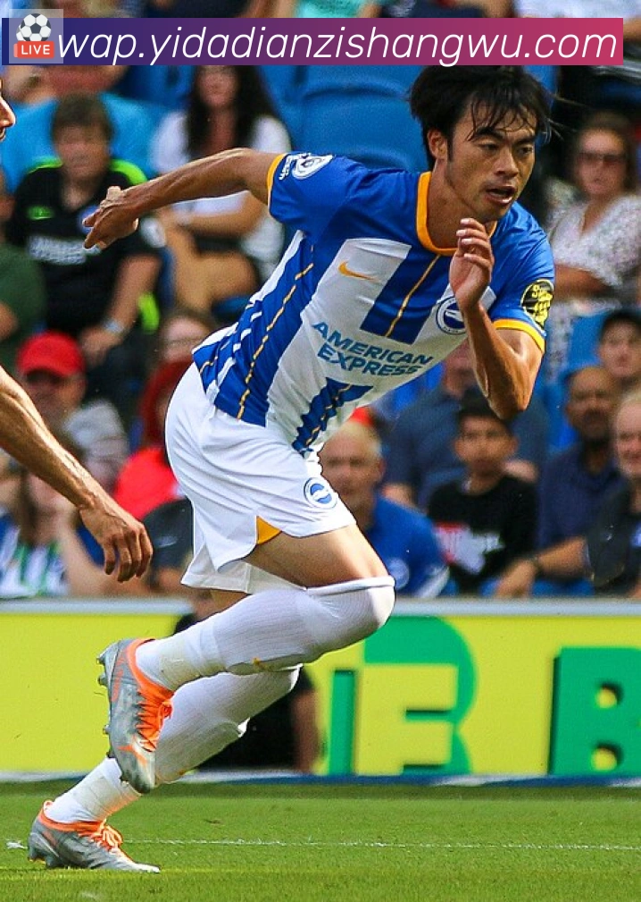 劳塔罗·马丁内斯