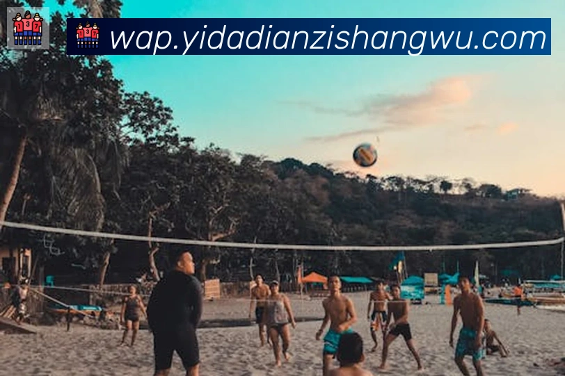 博亚app官网登录入口全站App